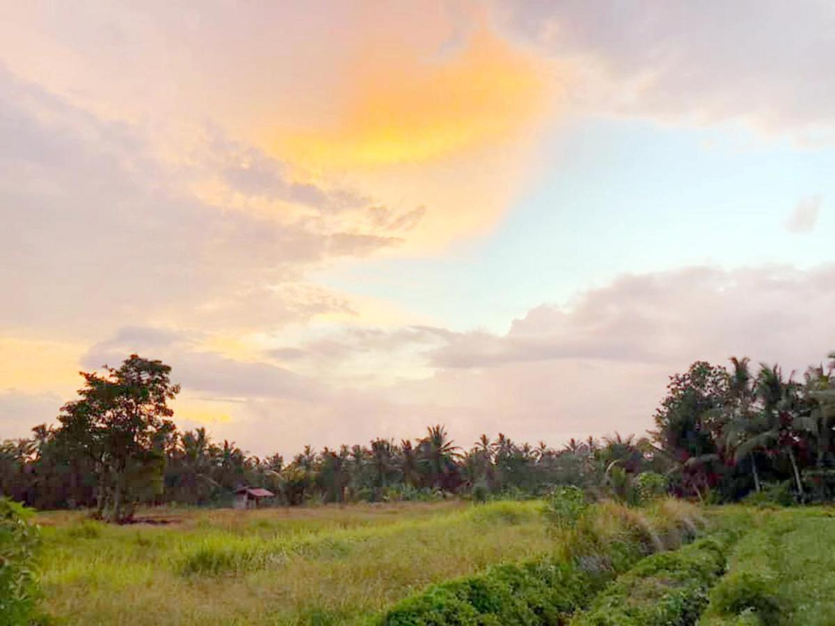 Shivananda Antique Villas By Eps Ubud Exteriér fotografie