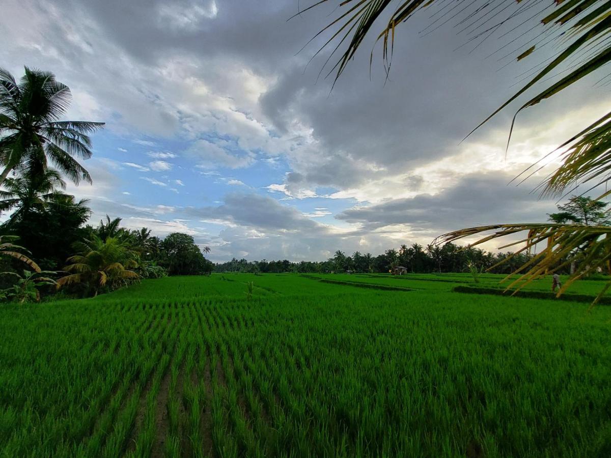Shivananda Antique Villas By Eps Ubud Exteriér fotografie