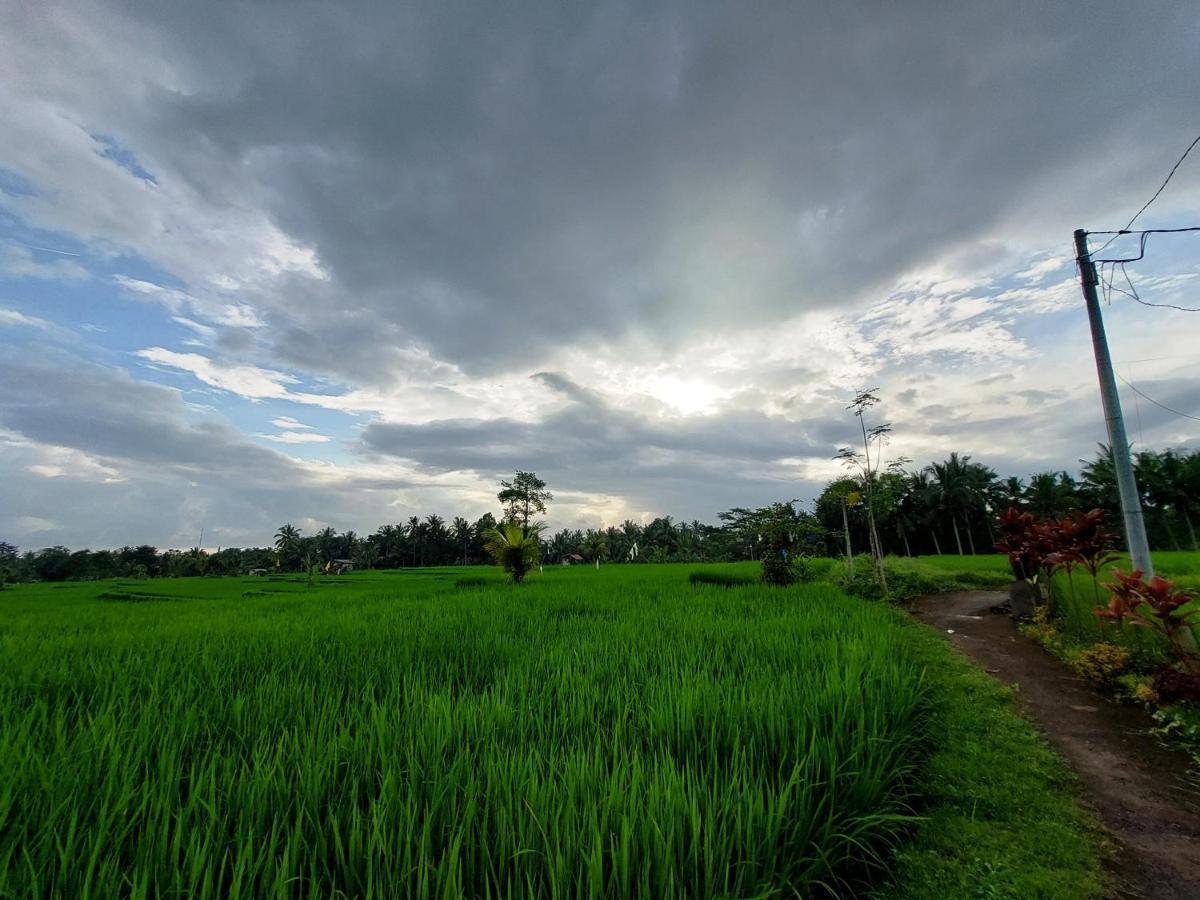 Shivananda Antique Villas By Eps Ubud Exteriér fotografie