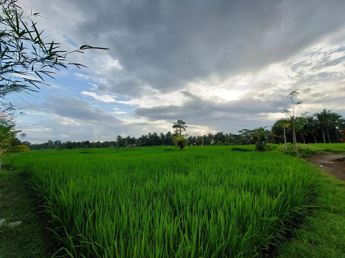 Shivananda Antique Villas By Eps Ubud Exteriér fotografie